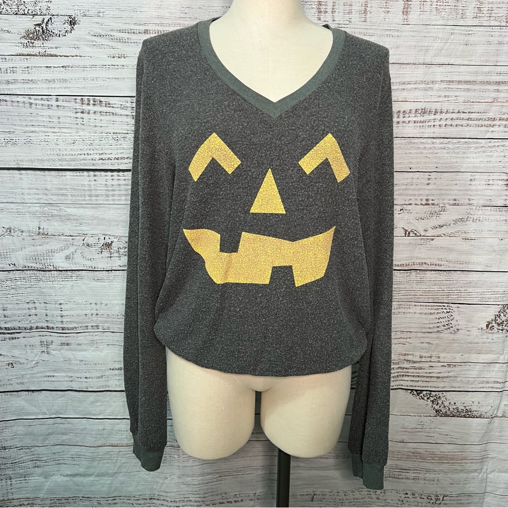 WildFox‎ Medium Jack o Lantern Halloween Long Sleeve Top Gray Pumpkin Slub